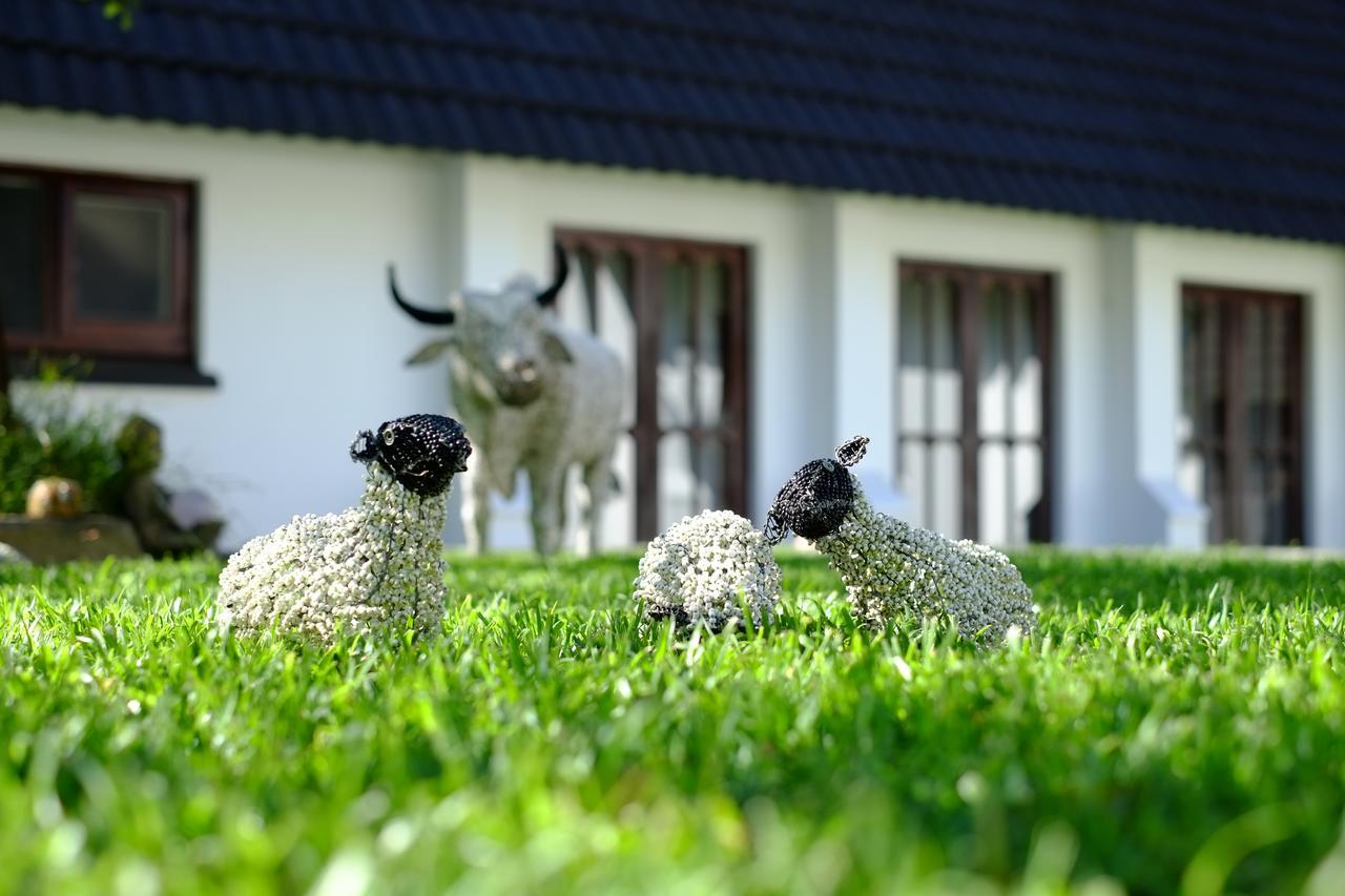 Kilmorna Manor Guest House Shoemanskloof Exteriér fotografie